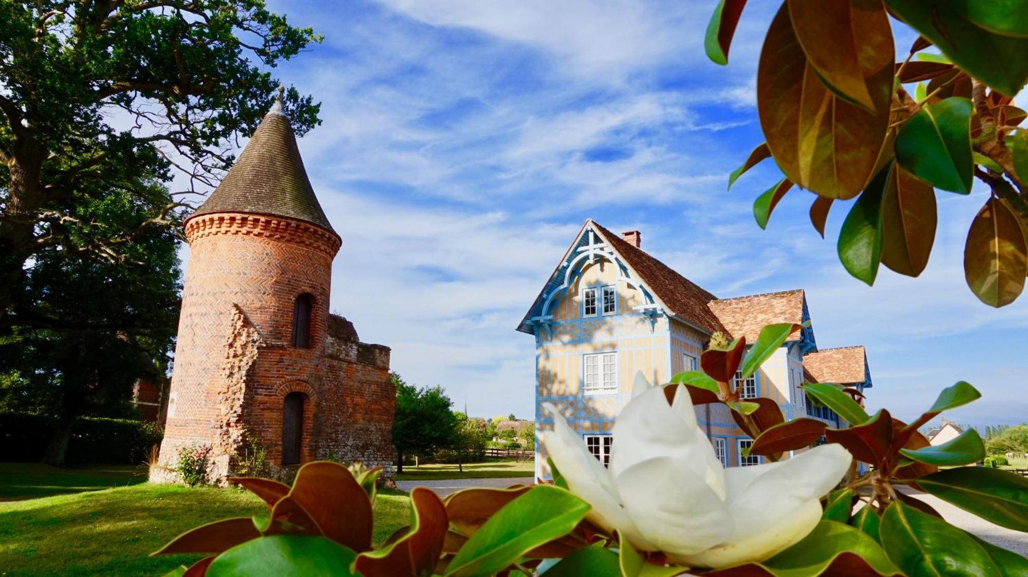 Chateau De Tilly Boissey-le-Chatel Esterno foto